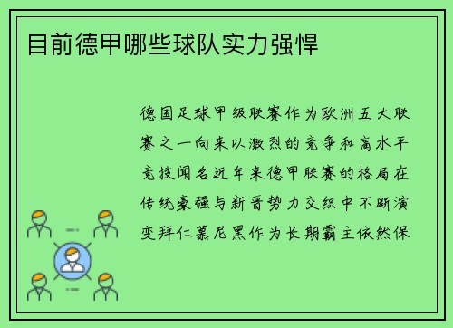 目前德甲哪些球队实力强悍